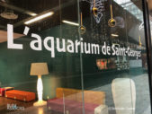 L’aquarium de Saint Georges